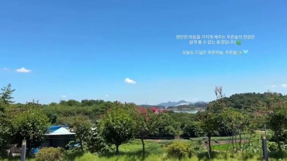 푸른솔 산책길 전경